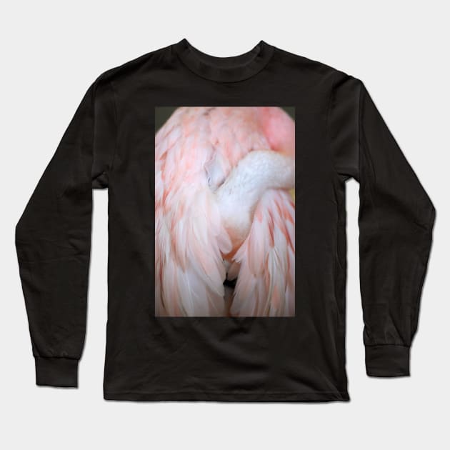 Flamingo #4 Long Sleeve T-Shirt by ALICIABOCK